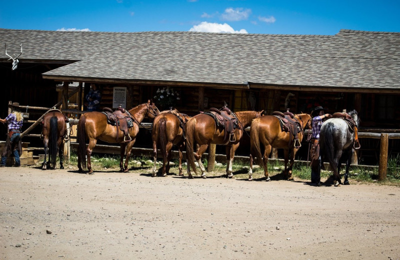 Horseback riding at Rawah Guest Ranch.