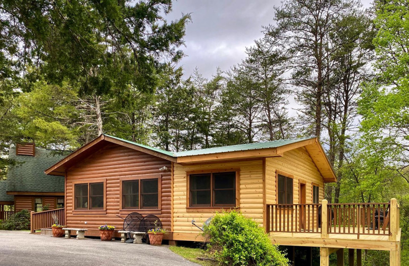 Reunion cabin at Little Valley Mountain Resort.
