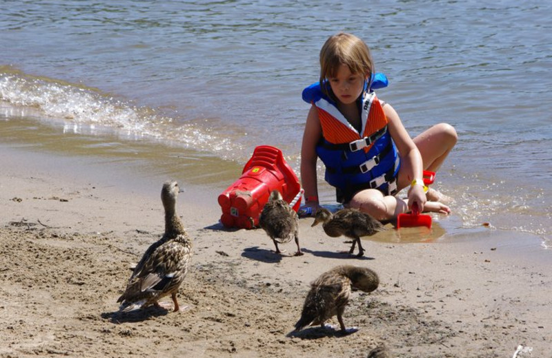 Beach friends at Cleveland's House.