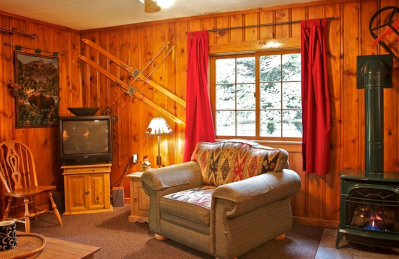 Cabin living room at Cold Springs Resort.