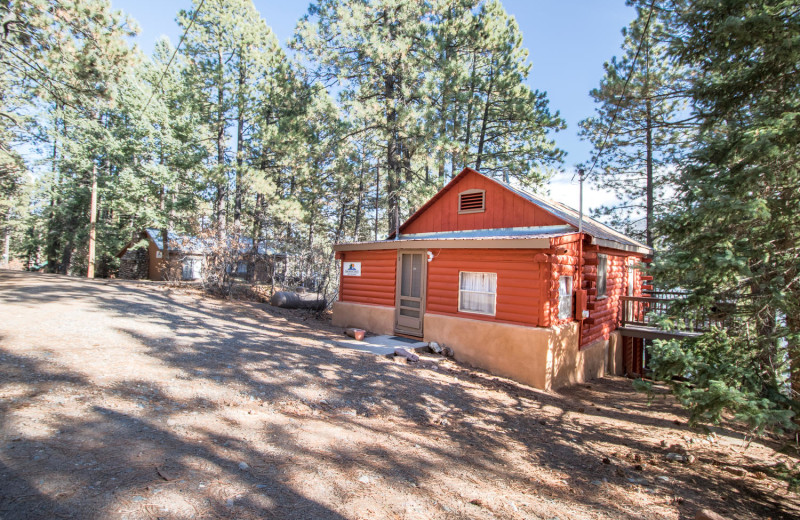 Cabin exterior at Pine River Lodge.