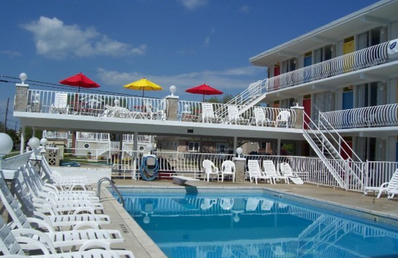 Outdoor pool at Lollipop Motel.