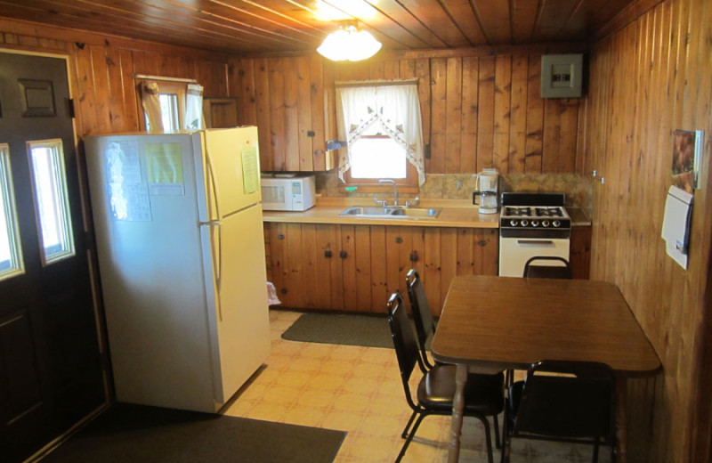 Cabin kitchen at Idle Hours Resort.