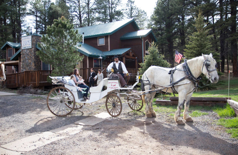 Exterior view of Abineau Lodge.