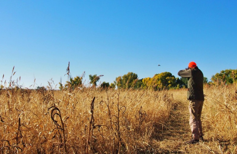 Hunting at Utah Family Lodges.