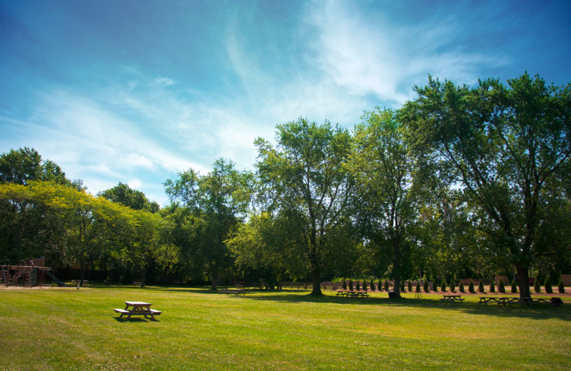 Picnic area at Vine Ridge Resort.