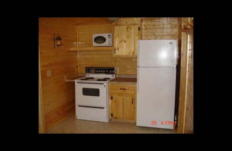 Cabin kitchen at Ward's Riverside Cabins.