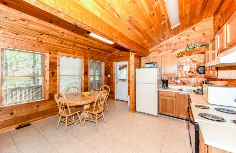 Cabin kitchen at Dogwood Cabins LLC.