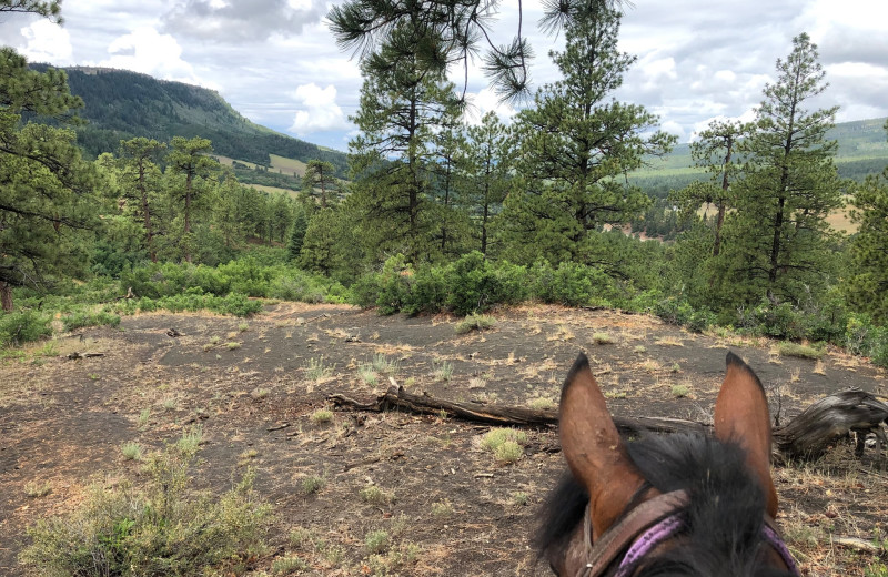 Horseback riding at Colorado Trails Ranch.