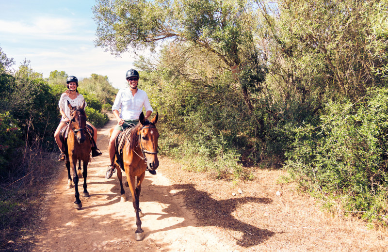 Horseback riding at Woodfield Properties.