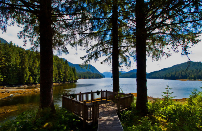 Dock at Yes Bay Lodge.