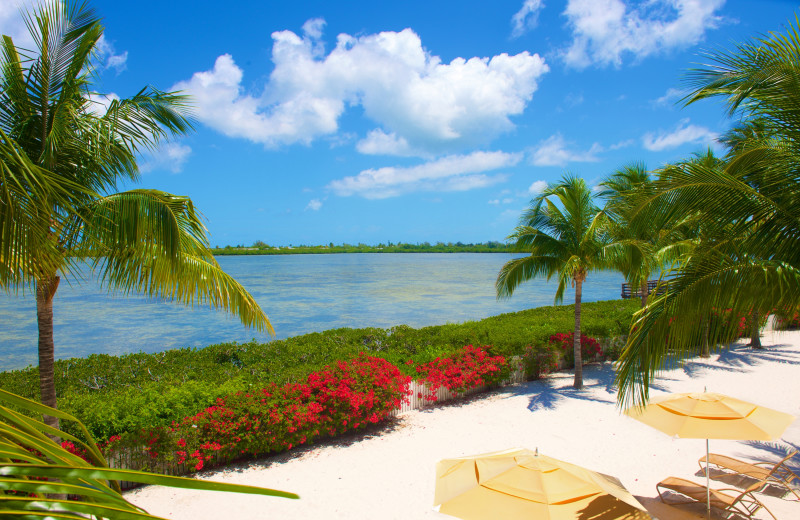 Beach view at Parrot Key Resort.