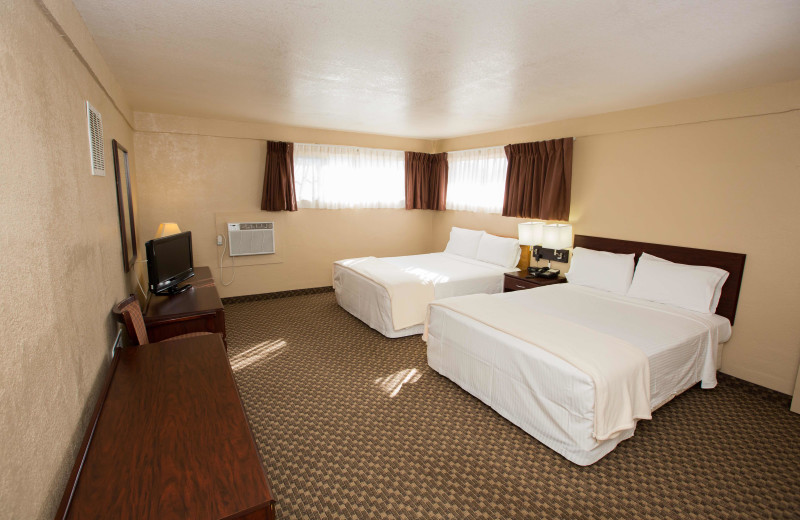 Guest room at Havasu Springs Resort.
