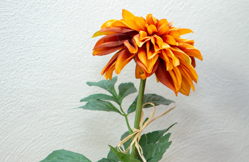 Flower at Mark III Inn.