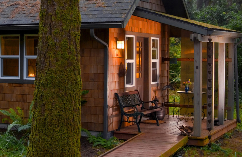 Cabin exterior at WildSpring Guest Habitat.