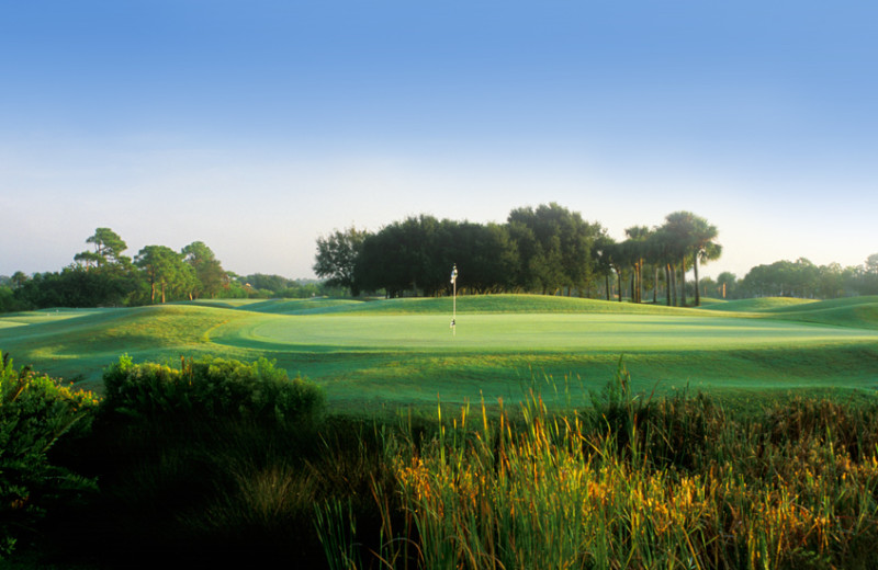 Golf course near Shoreline Island Resort.