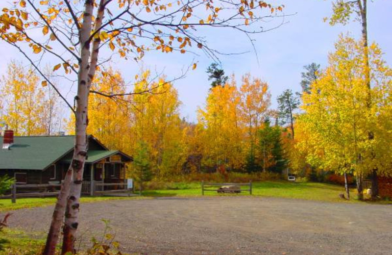 Cabin at Golden Eagle Lodge.