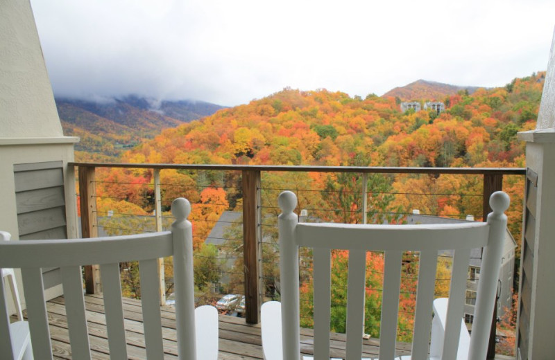 Patio in Cabin at Foscoe Rentals.