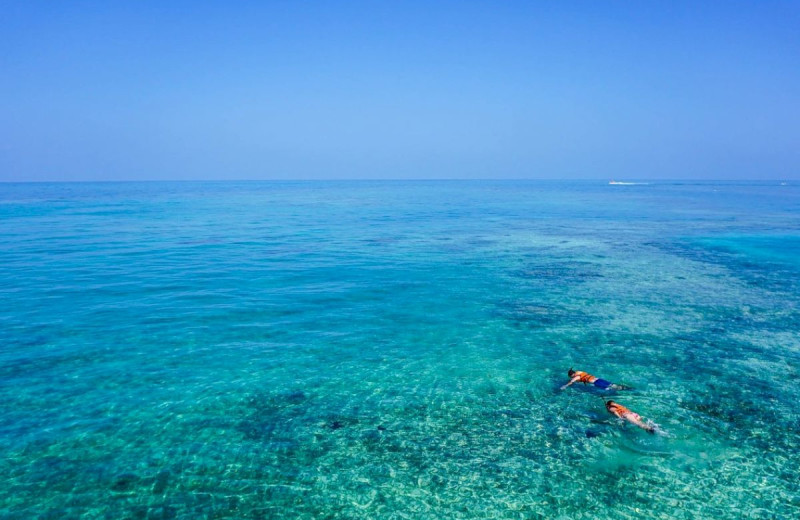 Snorkeling at Chesapeake Beach Resort.