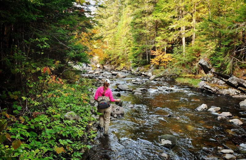 Fishing at Grant's Camps.