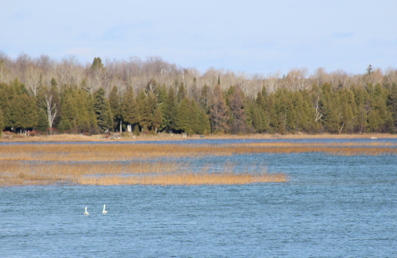 Lake view at Black Rock Resort.