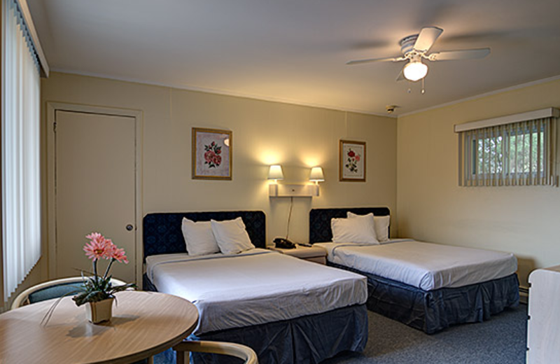 Double guestroom at Ocean View Terrace Motel.