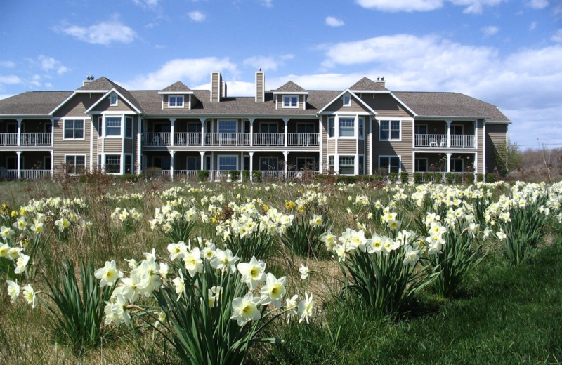 Exterior view of Newport Resort.