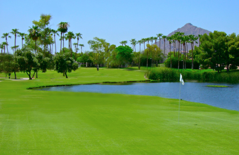 Golf course near Padzu Vacation Homes - Scottdale.