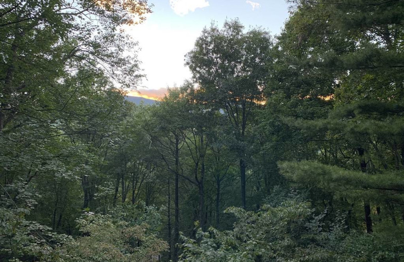 View from rental at Mount Mitchell Golf Club.