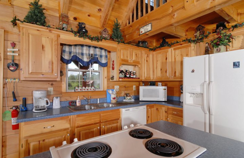 Cabin kitchen at Fireside Chalets & Cabin Rentals.