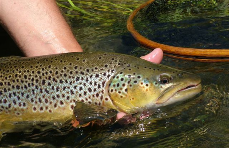 Fishing at Galloup's Slide Inn.