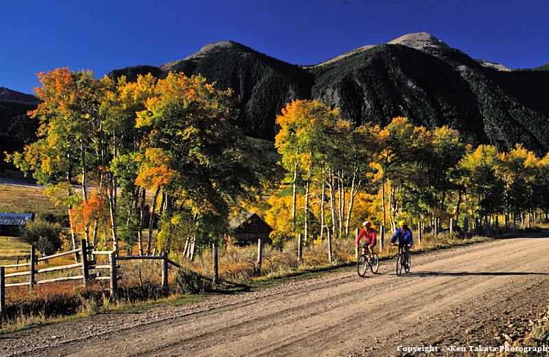 Mountain biking at Bar N Ranch.