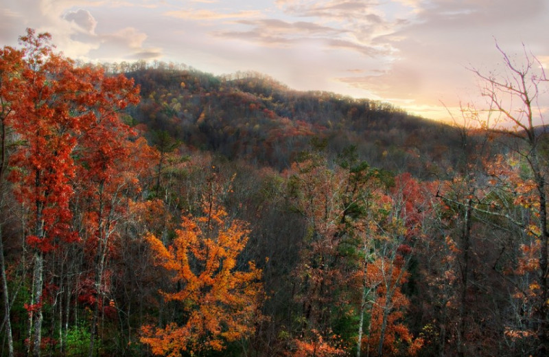 Mountain Views