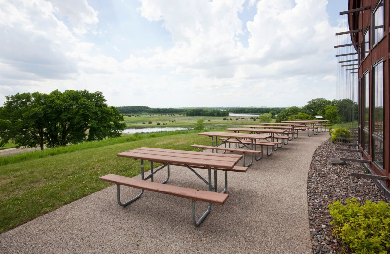 Picnic area at Spicer Green Lake Resort.