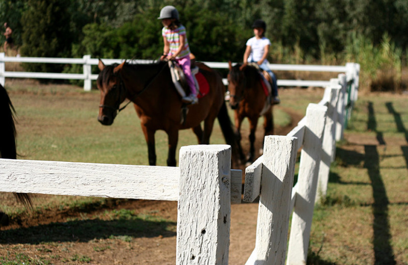 Horseback riding at Nitschke's Northern Resort.