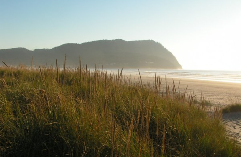 Seaside at Weiss' Paradise Suites.