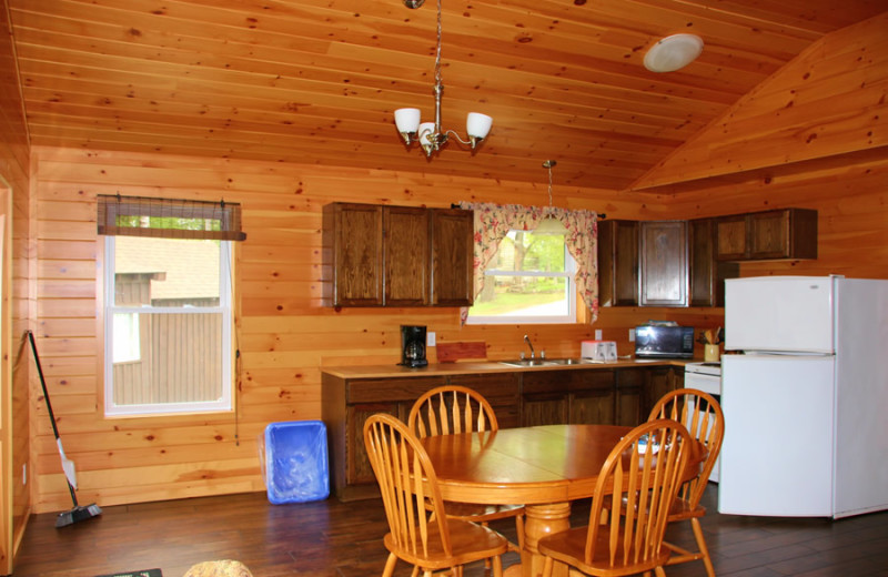 Cabin kitchen at Fernleigh Lodge.