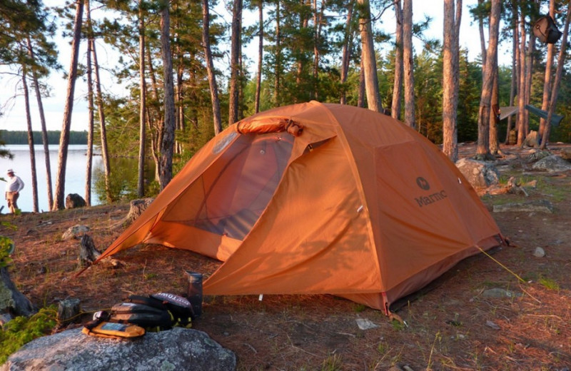 Camping at Moose Track Adventures Resort.