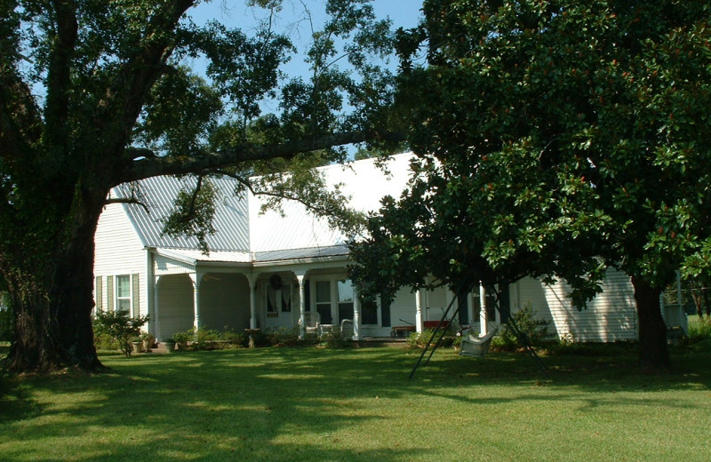 Exterior view of Calloway Corners.