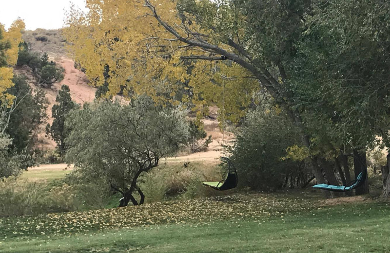 Grounds at Escalante Yurts.