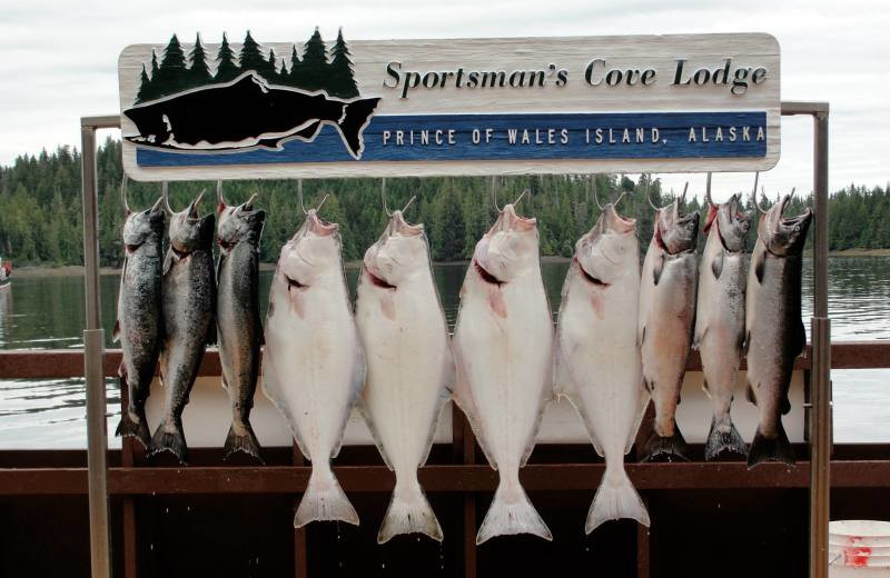 Fishing at portsman's Cove Lodge.