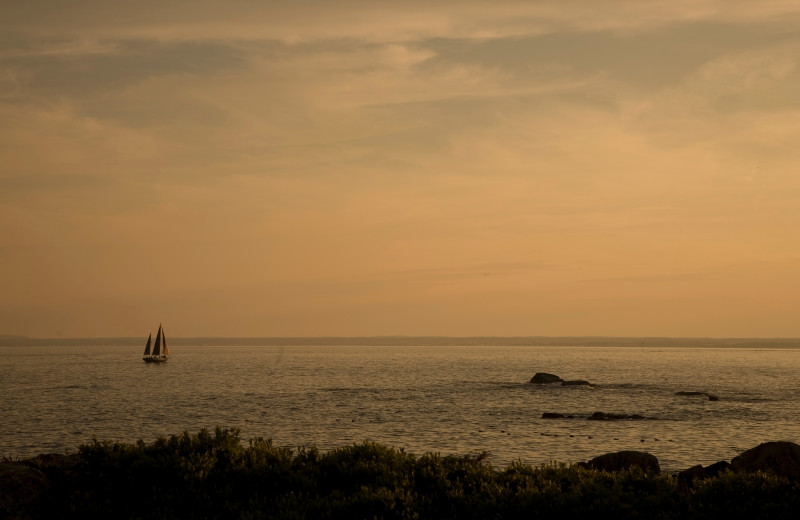 Ocean view near Maine Stay Inn & Cottages.