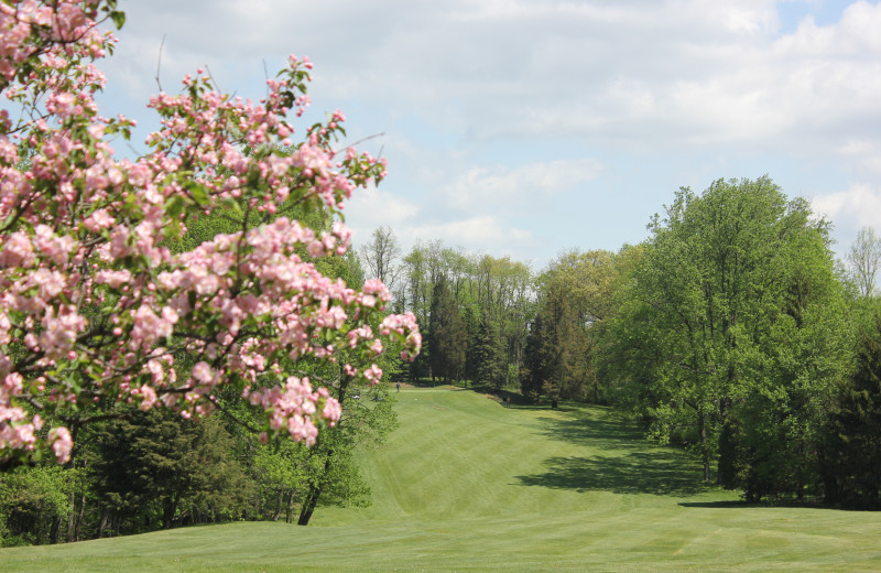 Golf course at Water Gap Country Club.