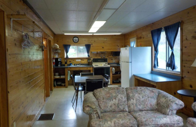 Cabin kitchen living room at Owls Nest Lodge.
