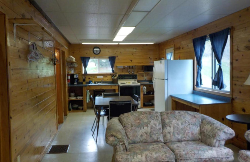 Cabin kitchen living room at Owls Nest Lodge.