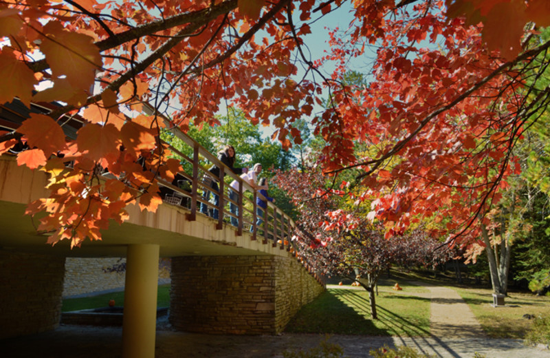 Fall colors at UAW Black Lake.