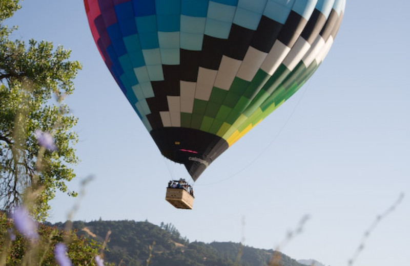 Hot air balloon at Cottage Grove Inn.