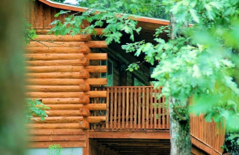 Cabin exterior at Lake Forest Luxury Log Cabins.