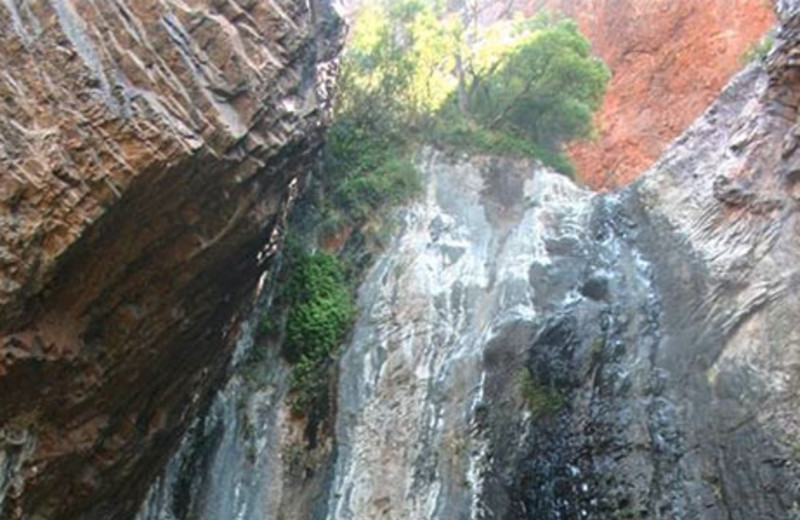 Scenic Views Near Big Bend Overland Tours