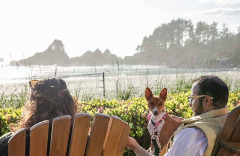 Pets welcome at Long Beach Lodge Resort.